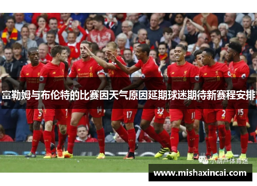 富勒姆与布伦特的比赛因天气原因延期球迷期待新赛程安排