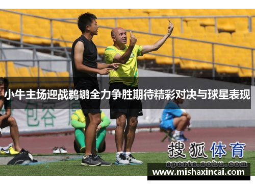 小牛主场迎战鹈鹕全力争胜期待精彩对决与球星表现
