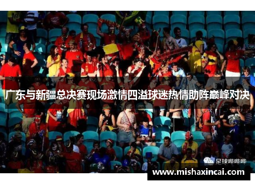 广东与新疆总决赛现场激情四溢球迷热情助阵巅峰对决