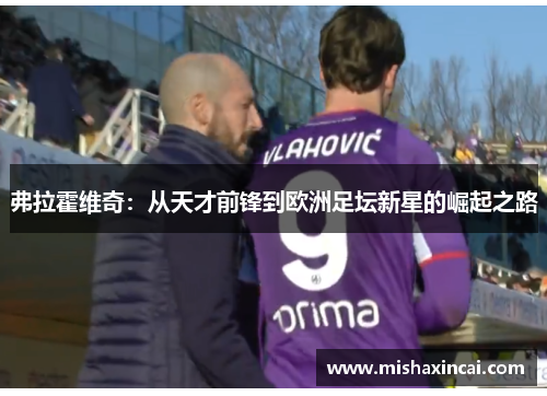 弗拉霍维奇：从天才前锋到欧洲足坛新星的崛起之路