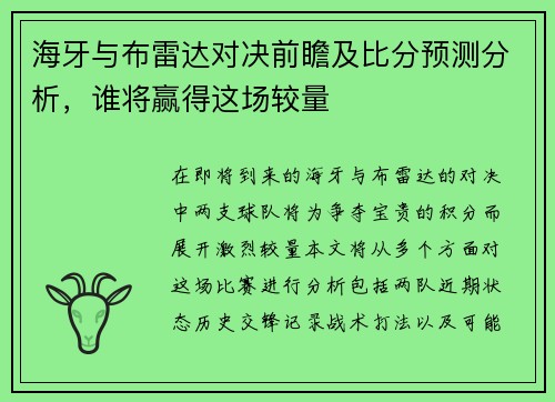 海牙与布雷达对决前瞻及比分预测分析，谁将赢得这场较量