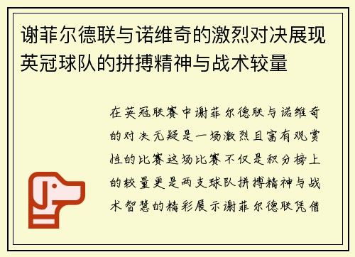谢菲尔德联与诺维奇的激烈对决展现英冠球队的拼搏精神与战术较量