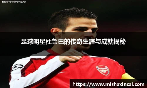 足球明星杜鲁巴的传奇生涯与成就揭秘